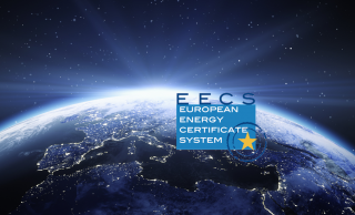 Recommendations REDII – Article 19 Guarantees of Origin