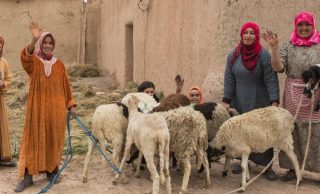 Now you can purchase renewable energy and contribute to gender equality
