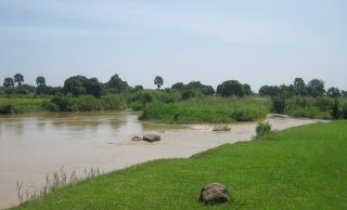 Companies can now buy renewable energy in West Africa
