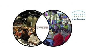 Climate negotiators open door for discourse through Talanoa Dialogue