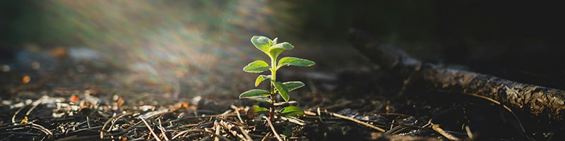 August 2026 Newsletter main