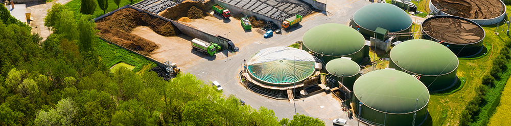 Biogas main newsletter