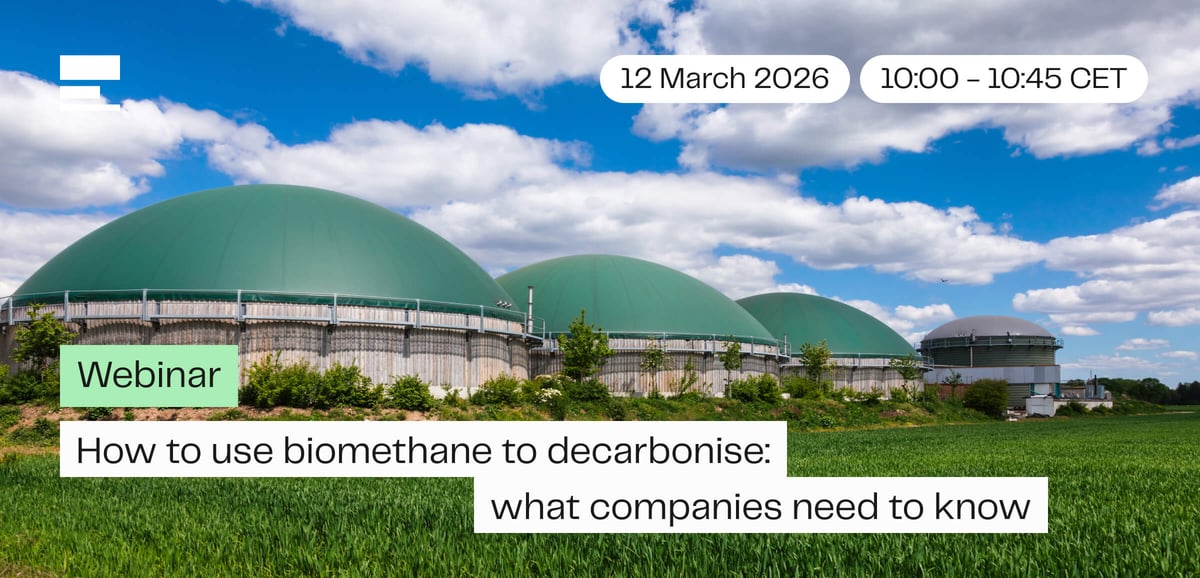 Caely webinar newsletter