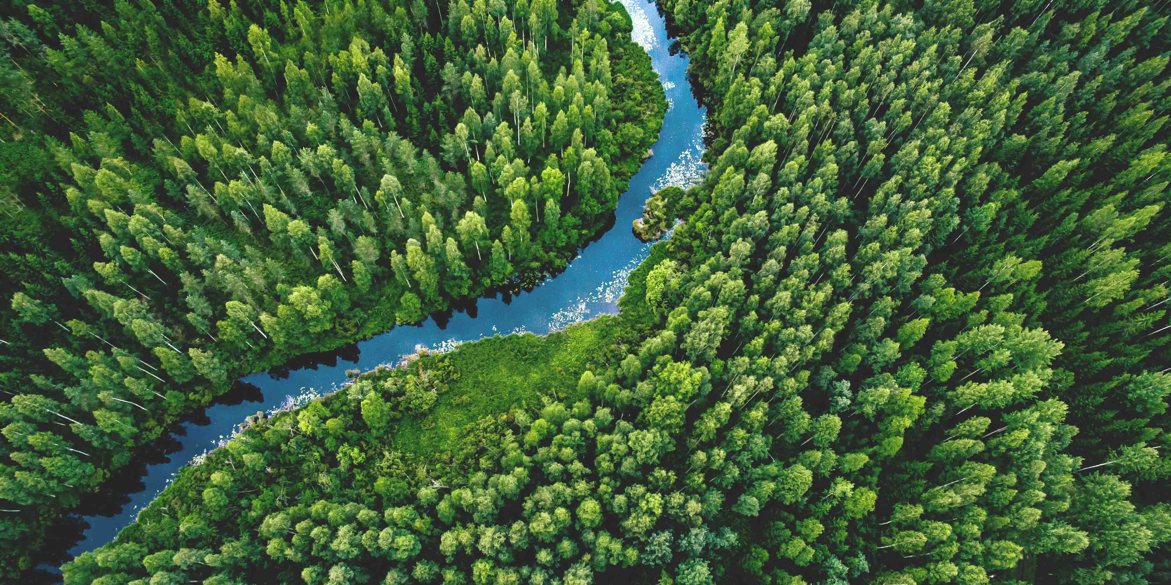 Carbon credits