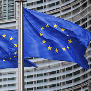 EU flag SOME
