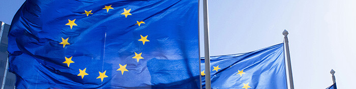 EU newsletter