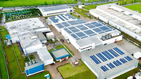 Tetra Pak targets net-zero value chain by 2050