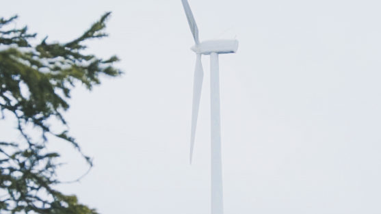 RE100 member top-finances new wind farm in Sweden