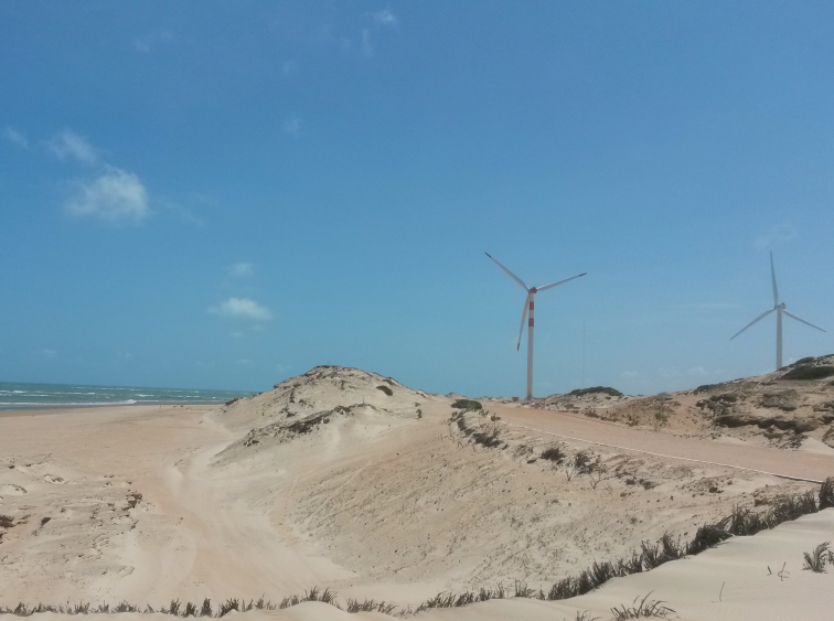 Natural Capital Partners