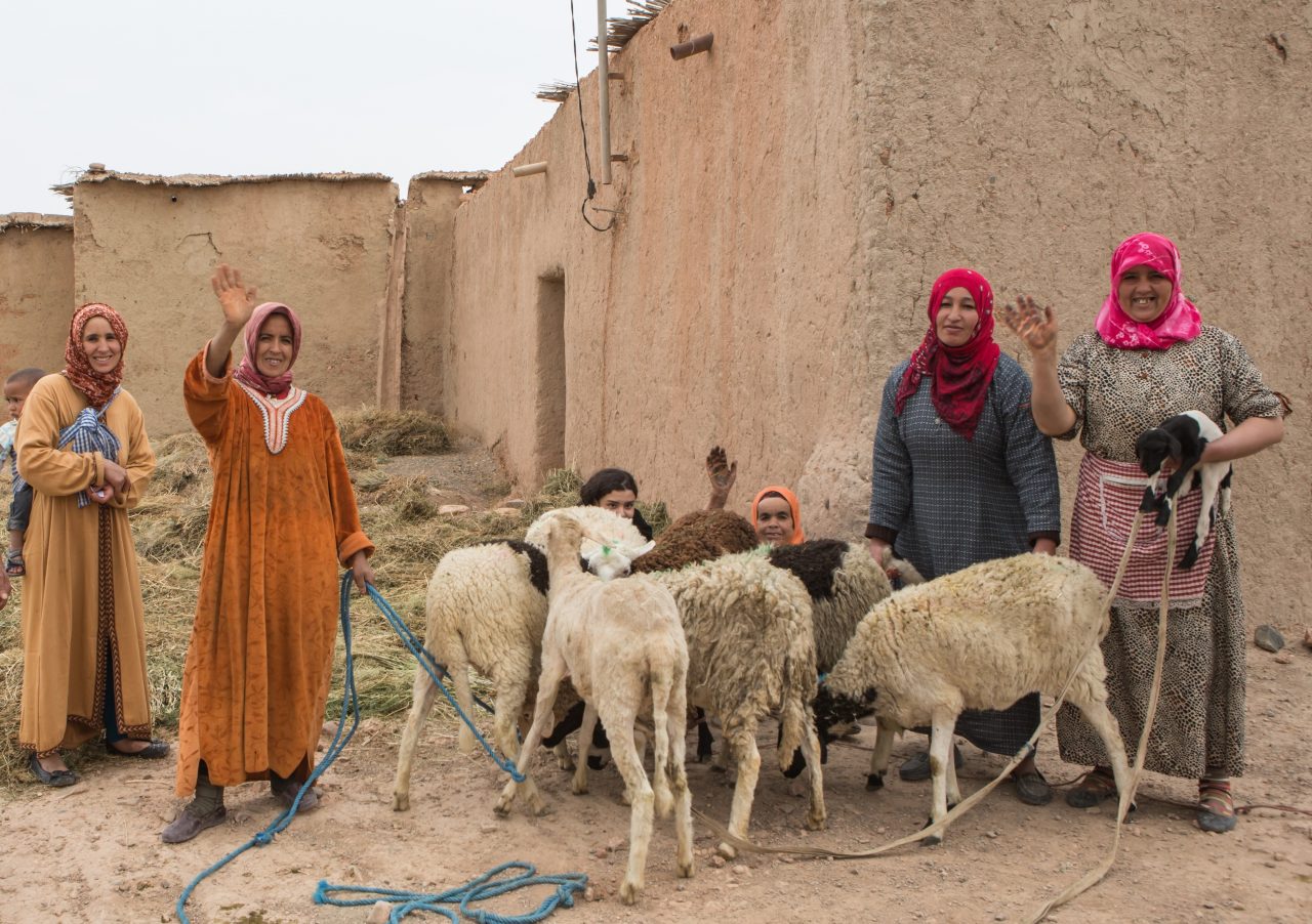 Ouarzazate-Picture-W-1280x902