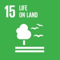 SDG13-Climate-Action (1)