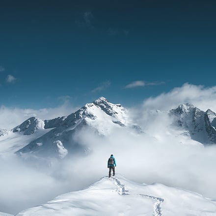 NZ roadmap newsletter 2023