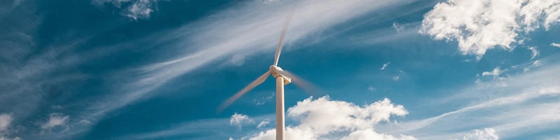 Newsletter August 2025