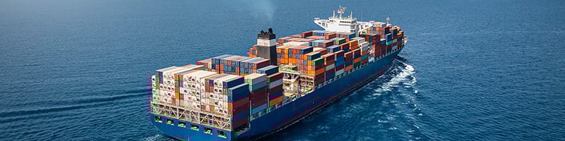 Newsletter feb 2026 main