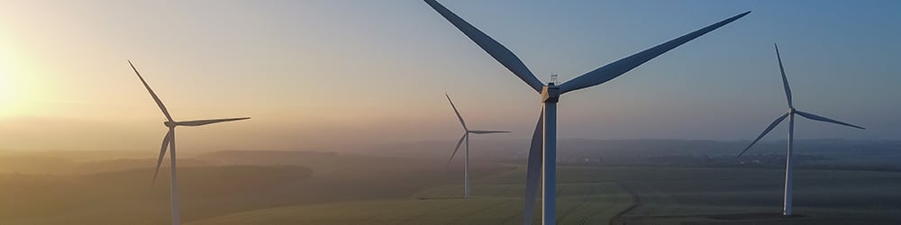 Newsletter june 2026-1