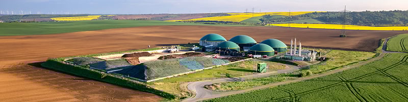 Newsletter march main