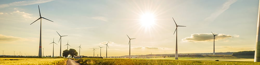 Renewable energy roadmap newsletter 2