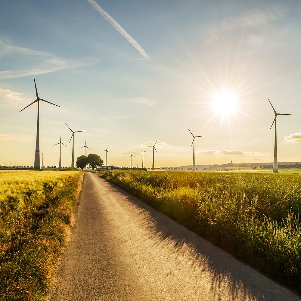 Renewable energy roadmap