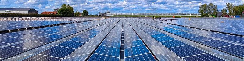 Reporting value newsletter