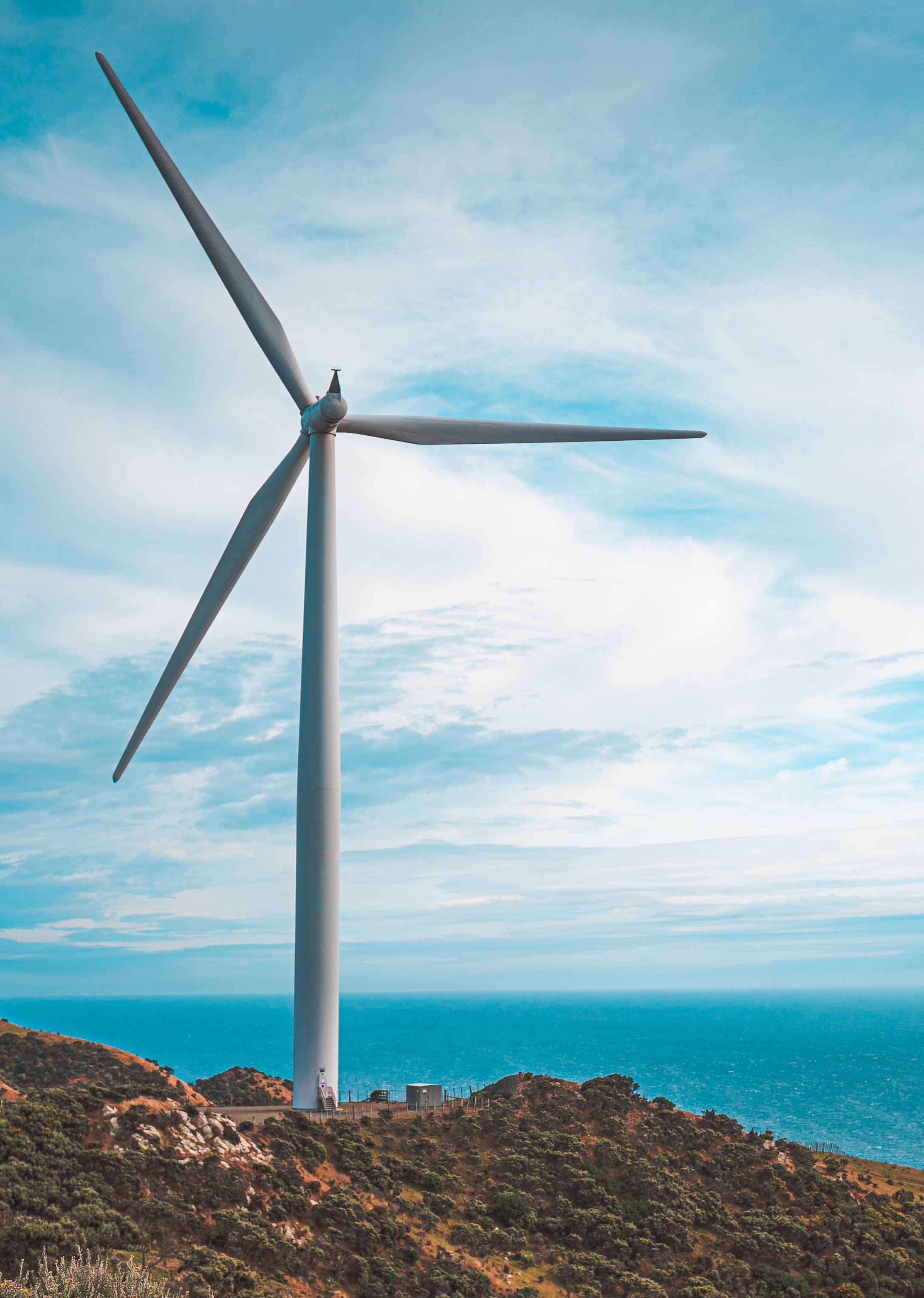 Wind turbine in New Zealand 