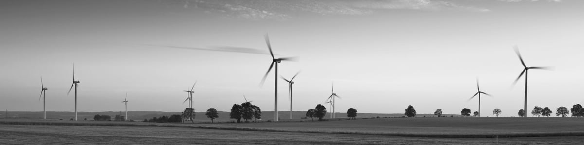 Wind in sunset-2