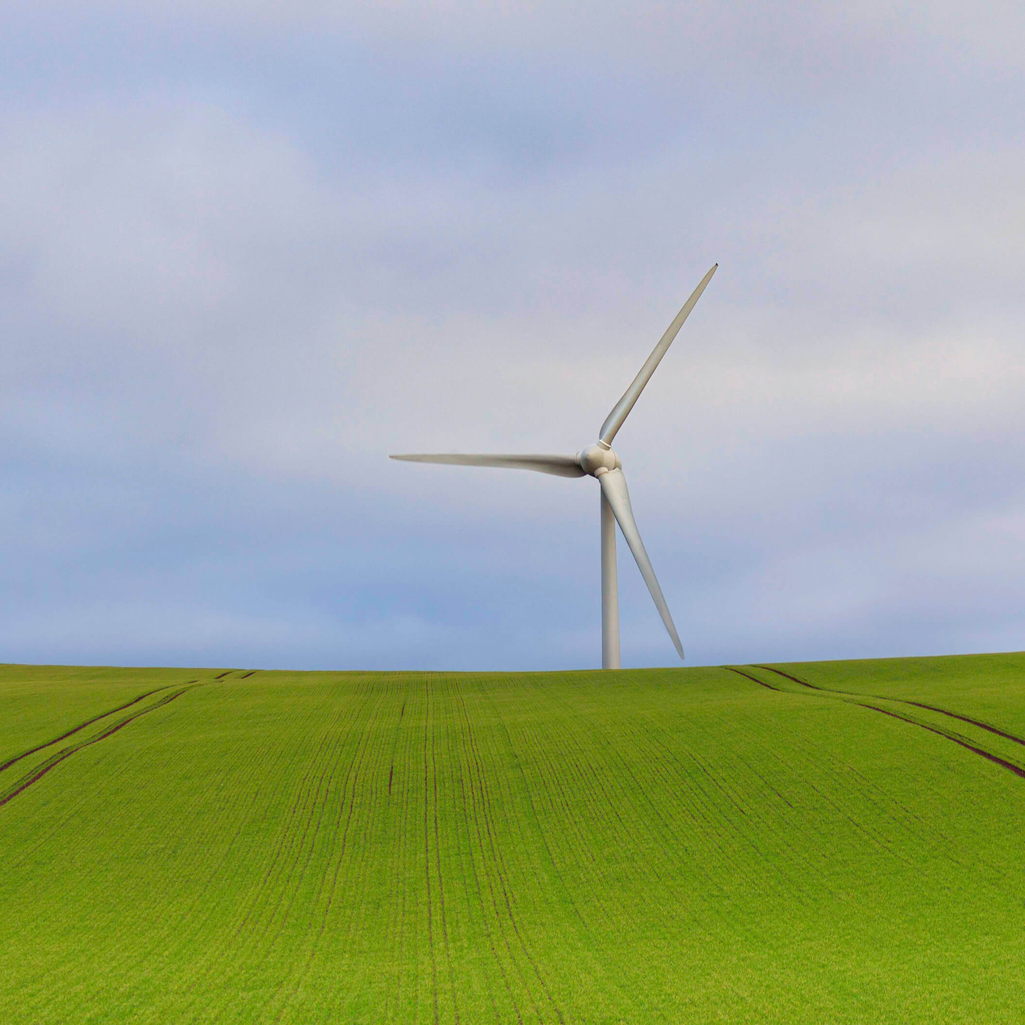 martin-bennie-qtaRjcqQXDM-unsplash (2)-2
