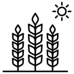 noun-harvest-3651838