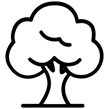 noun-tree-8347006