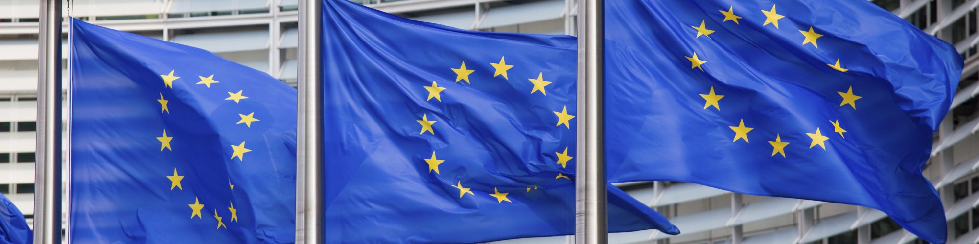 European renewable energy policy framework - ECOHZ