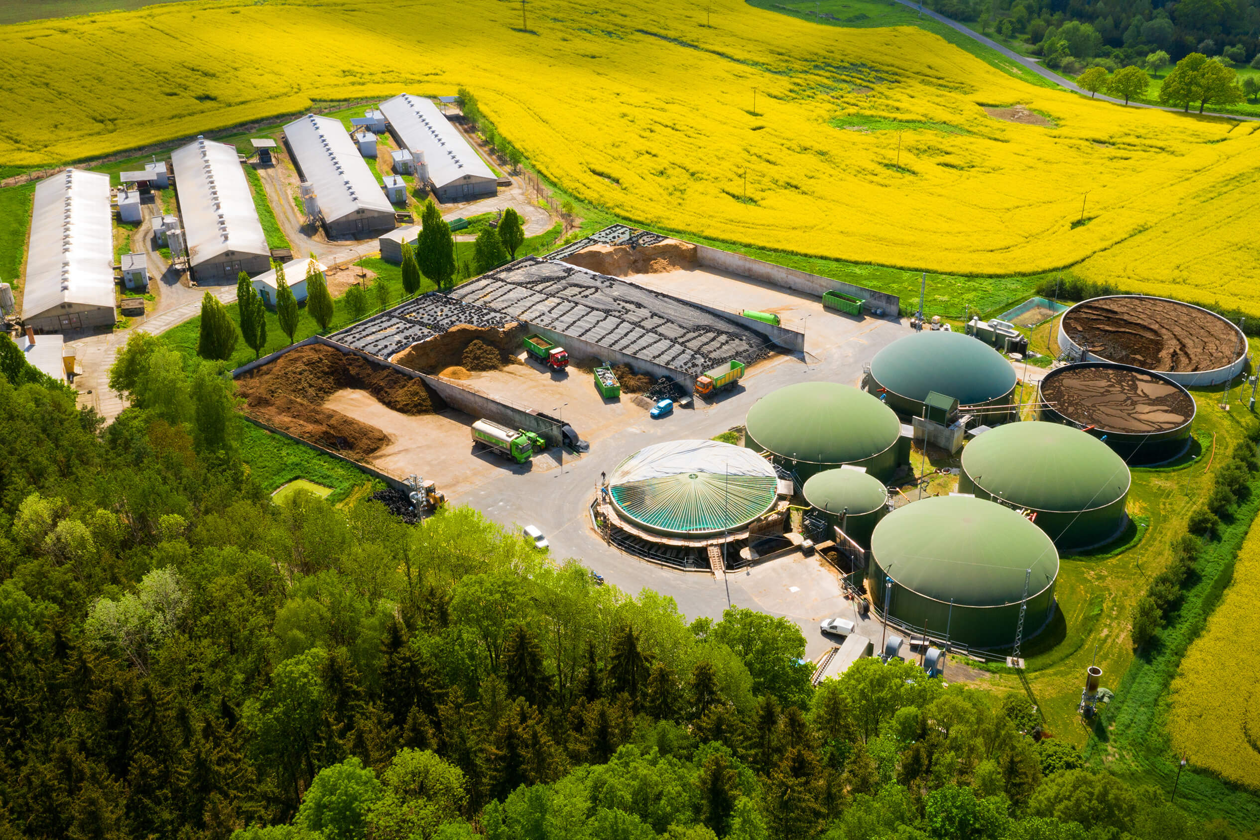 Biogas