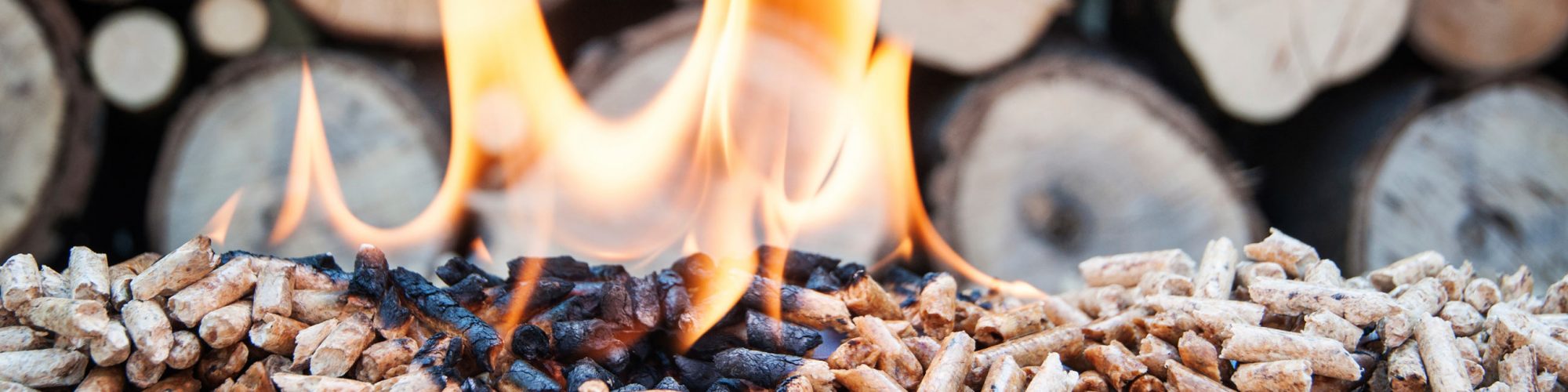 Bioenergy