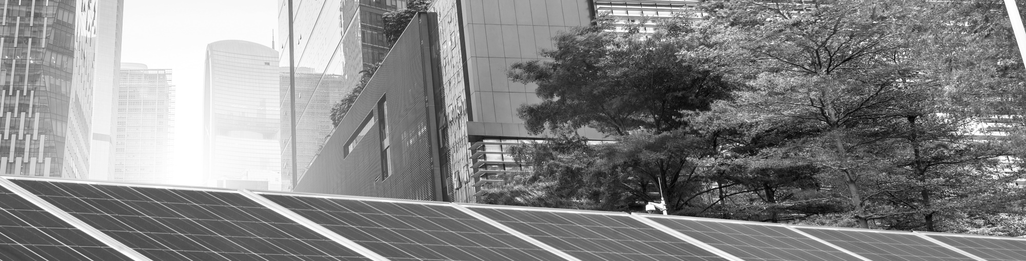International Renewable Energy Certificates (I-RECs) to document renewable energy consumption
