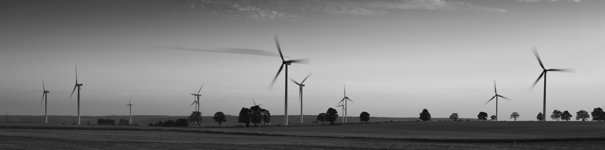Wind in sunset