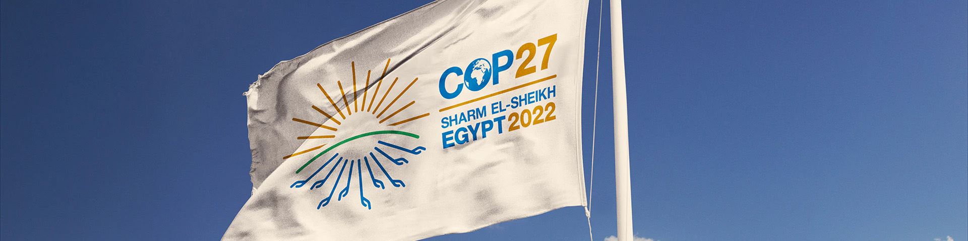 cop27 hero